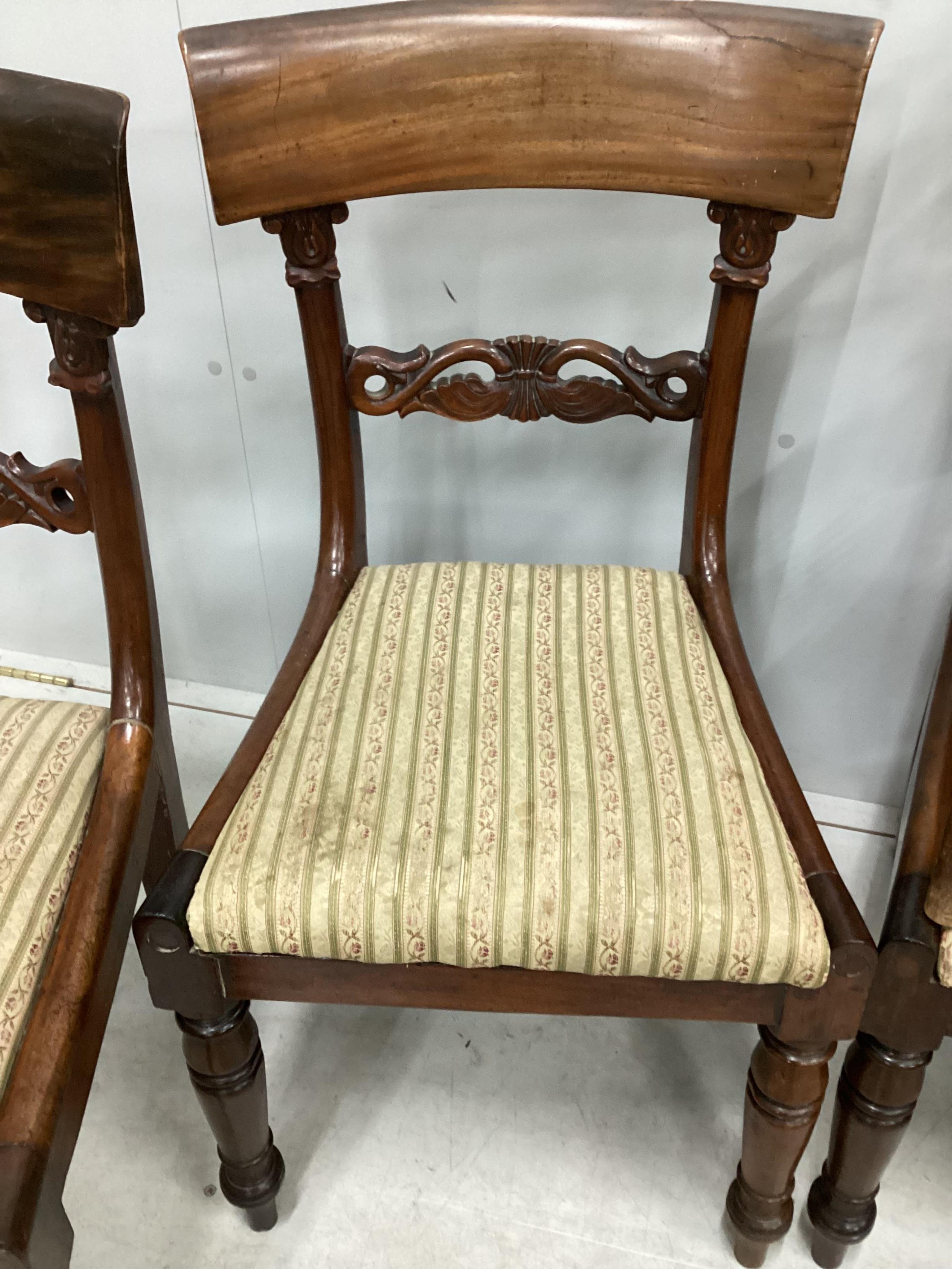 Five William IV mahogany dining chairs and an early 20th century beech bentwood cane seat child's chair. Condition - fair